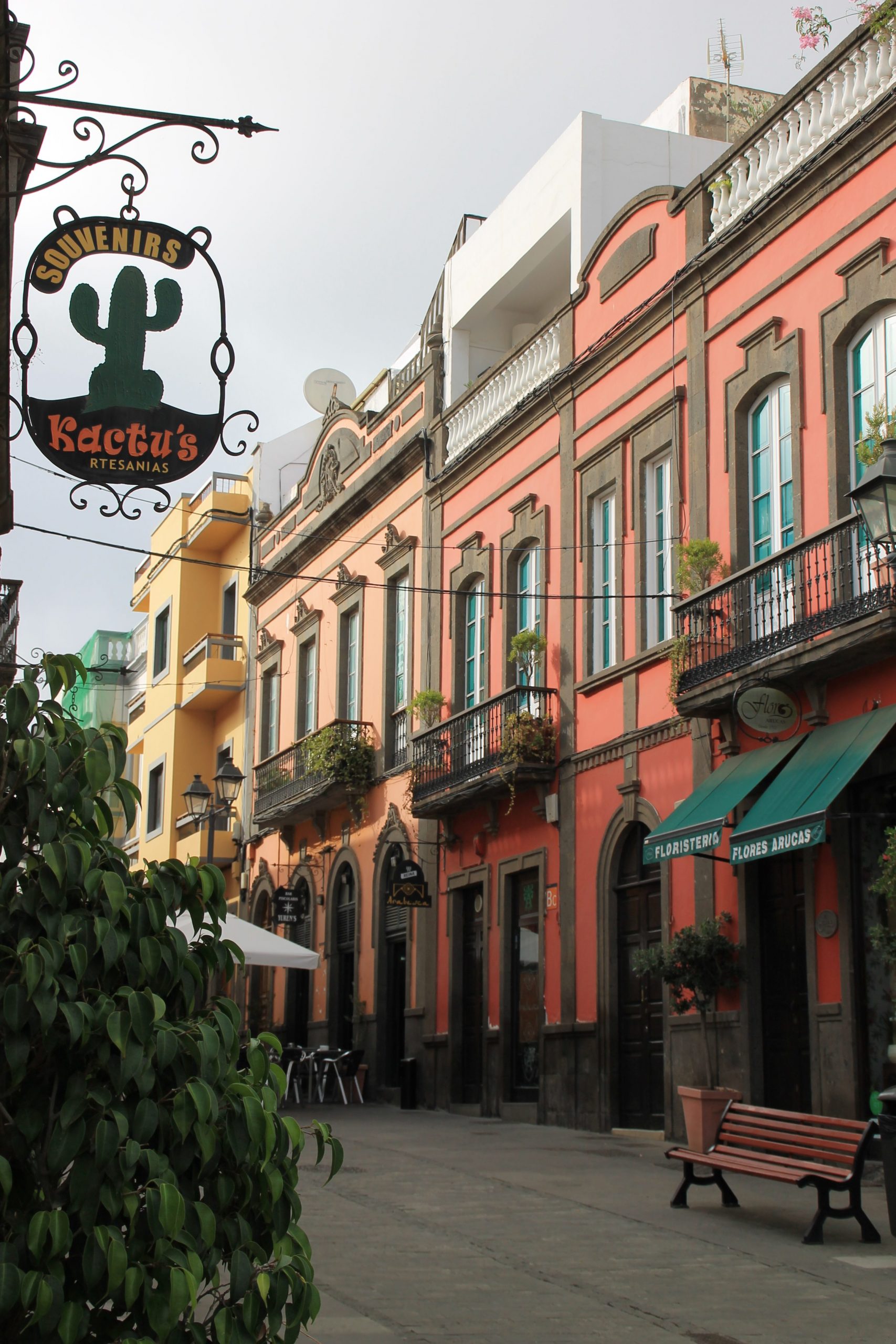 Die schönste Straße von Arucas