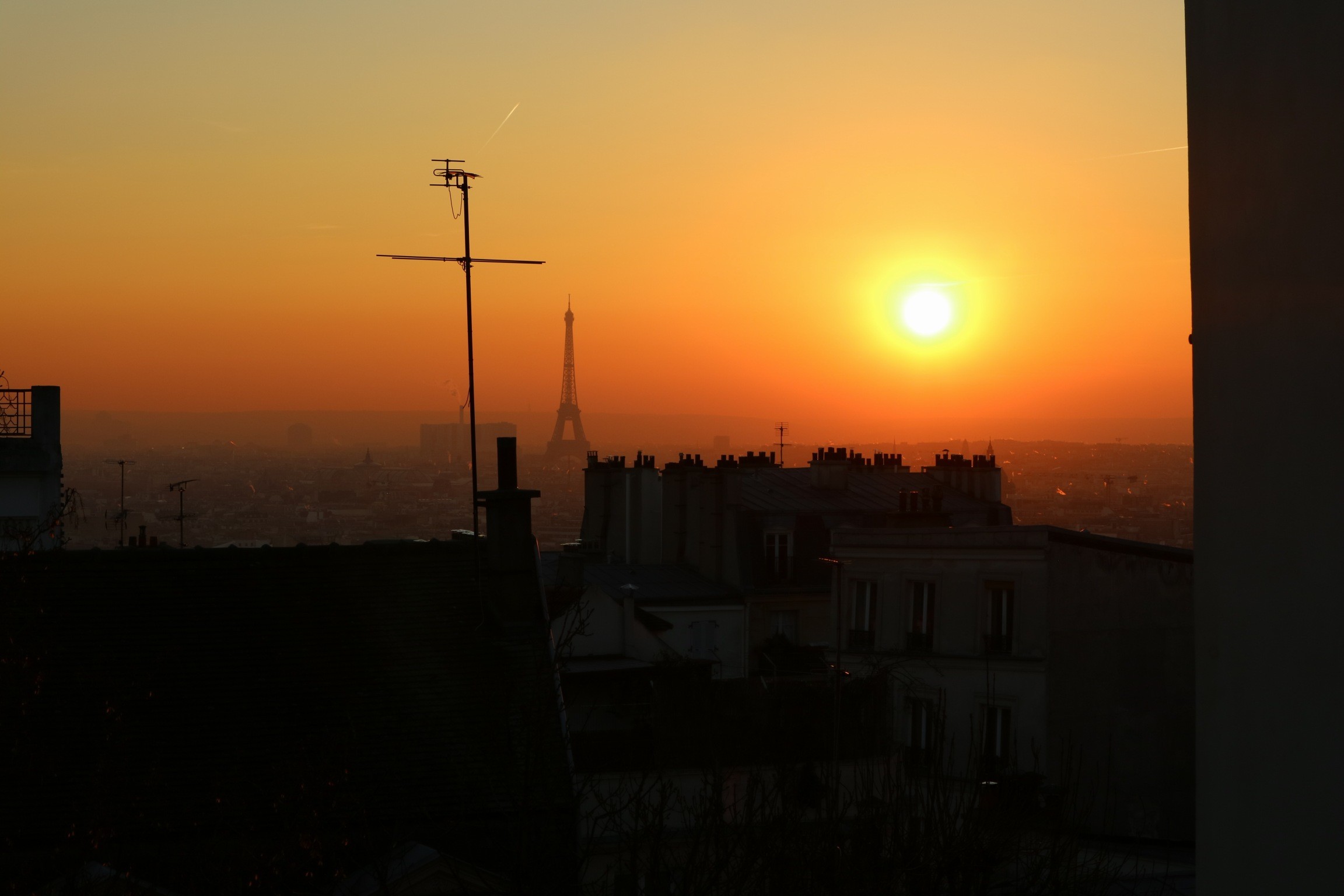 20190121181413_IMG_3149