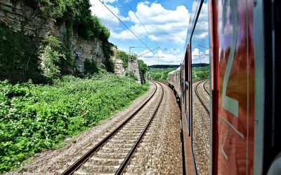 Ein Bilderbuch, einige Pflänzchen und ein Füller