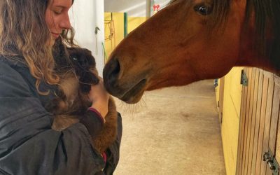 ESK in Portugal in Zeiten von Corona