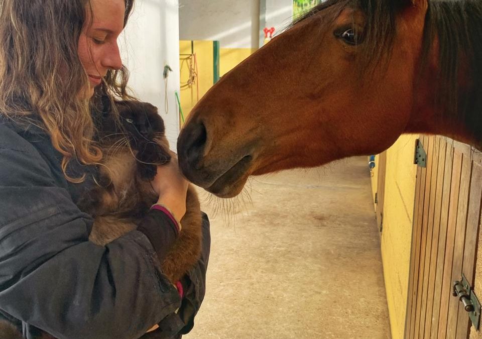 ESK in Portugal in Zeiten von Corona