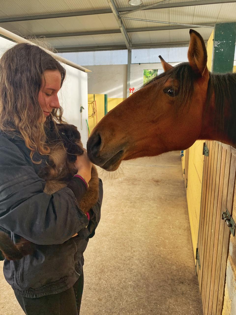 IMG-20201216-WA0002-2