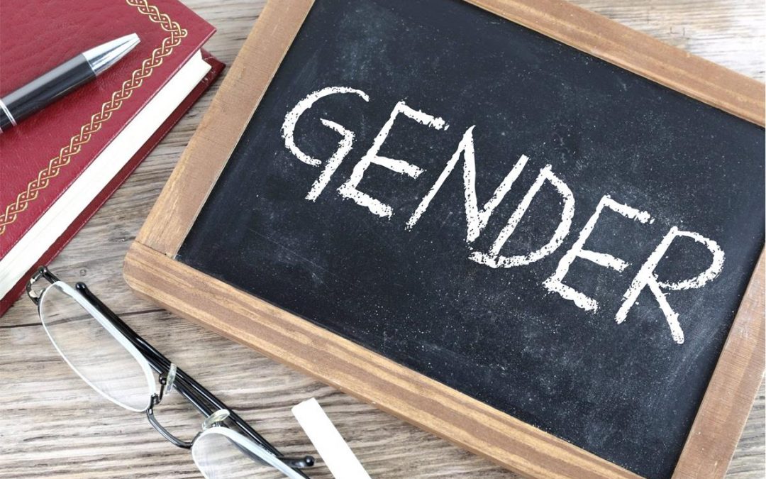 Let’s talk about gender – digital international YOUTH Exchange