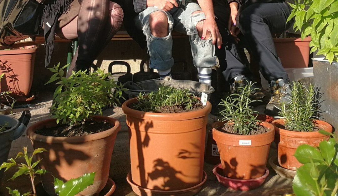 Trans*-Stimmen im Bodytalk