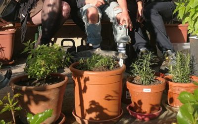 Trans*-Stimmen im Bodytalk