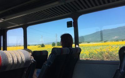 Frieda über ihren ESC in Bulgarien