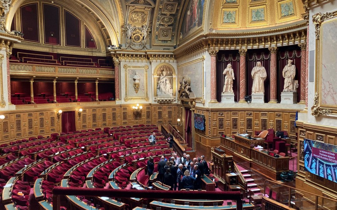 Mein Jahr in Frankreich