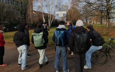 Das erste Drittel meines FSJ