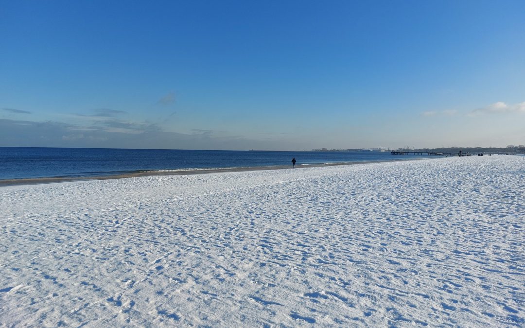 Ein Jahr im Freiwilligendienst: Meine Erfahrungen in Gdansk mit PSONI