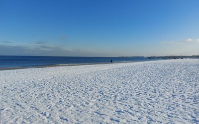 Ein Jahr im Freiwilligendienst: Meine Erfahrungen in Gdansk mit PSONI