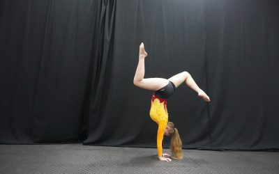 Der Beginn eines aufregenden Jahres