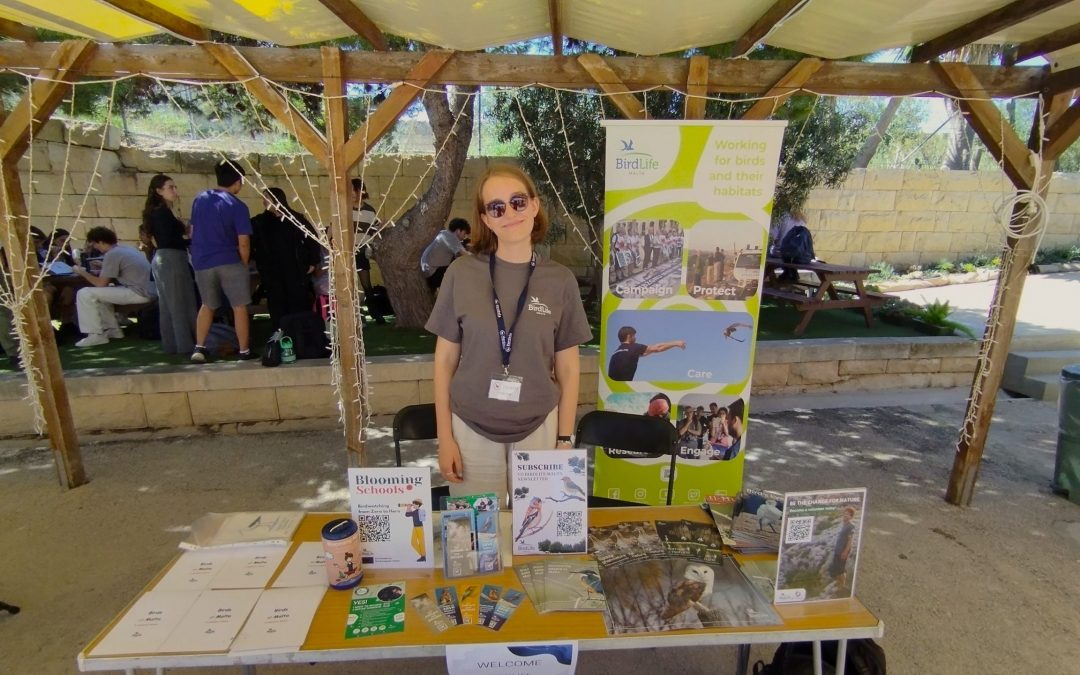 Volunteering with an environmental NGO in Malta