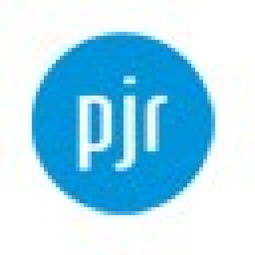 Politischer Jugendring Dresden e.V. logo