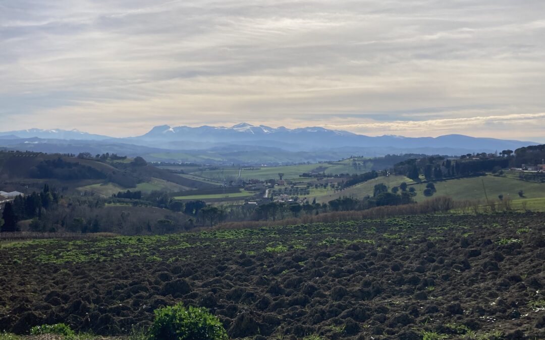 Europäisches Freiwilligenjahr in Italien: Alltag im Ecomuseo Villa Ficana