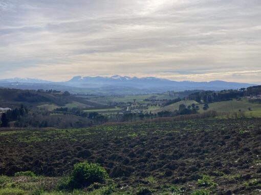Europäisches Freiwilligenjahr in Italien: Alltag im Ecomuseo Villa Ficana